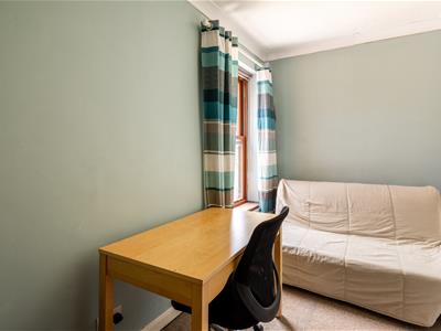 Picture 24